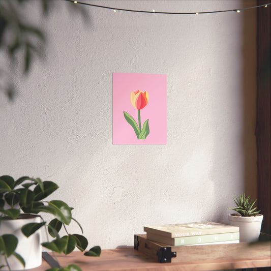 Tulip