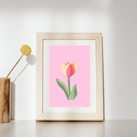 Tulip